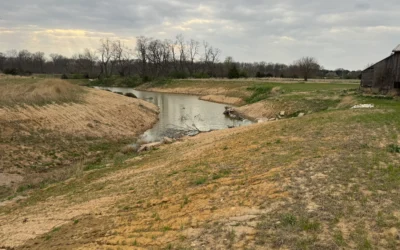Drainage Solutions for Central Illinois Yards That Stay Wet After Heavy Rain